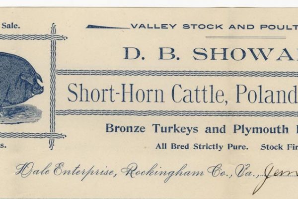 D.B. Showalter Cattle and Hogs