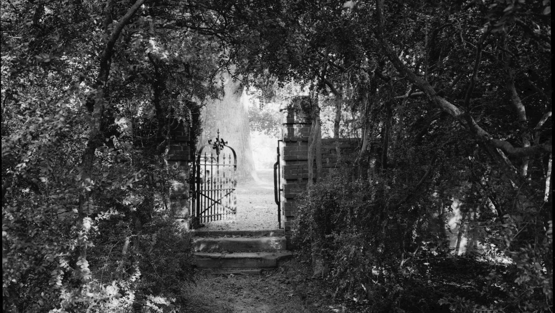 Freed From the Archives: The Life of Emanuel Jones of Surry